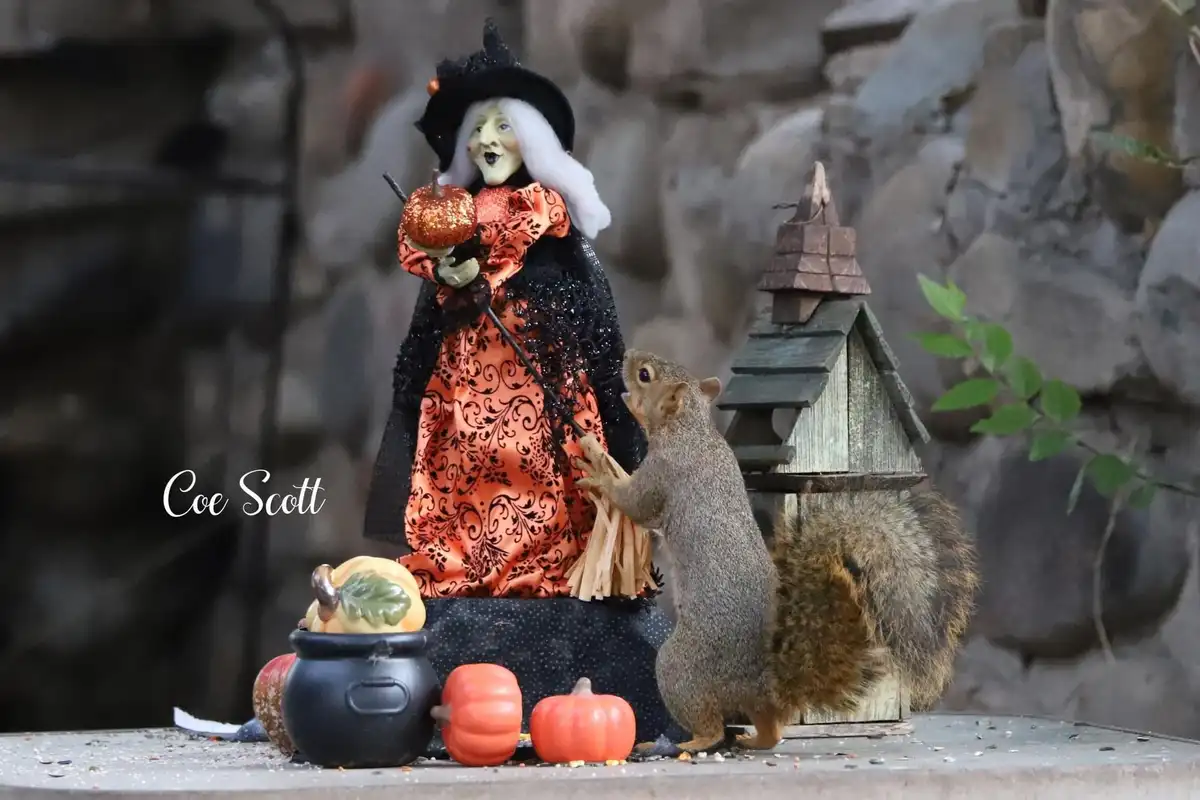 The Spooktacular Vibes of Halloween
