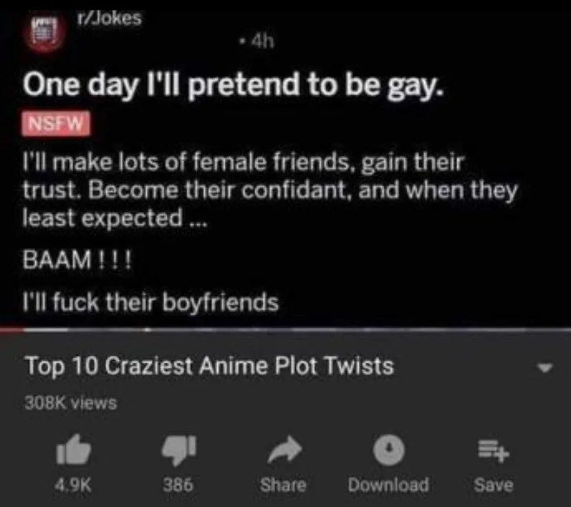 The image shows a screenshot of a Reddit post from r/Jokes, which reads 'One day I'll pretend to be gay. I'll make lots of…