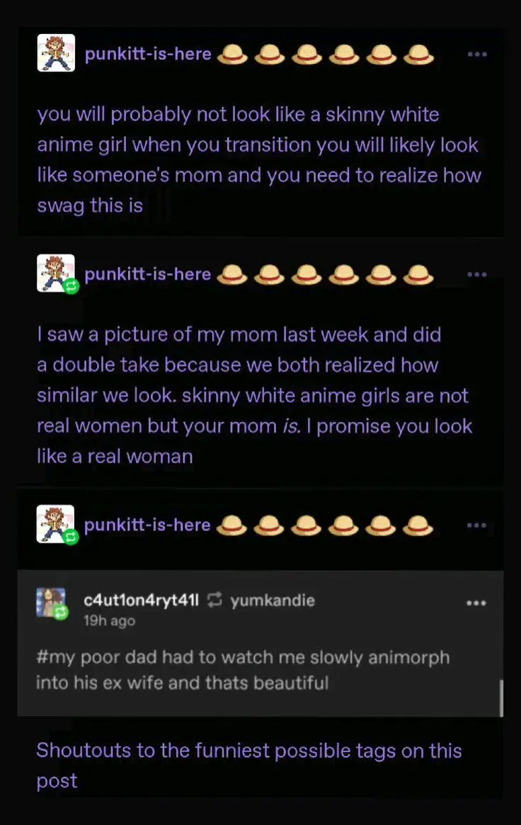 A screenshot of a social media thread shows a user named 'punkitt-is-here' making a joke about transitioning to look like a…