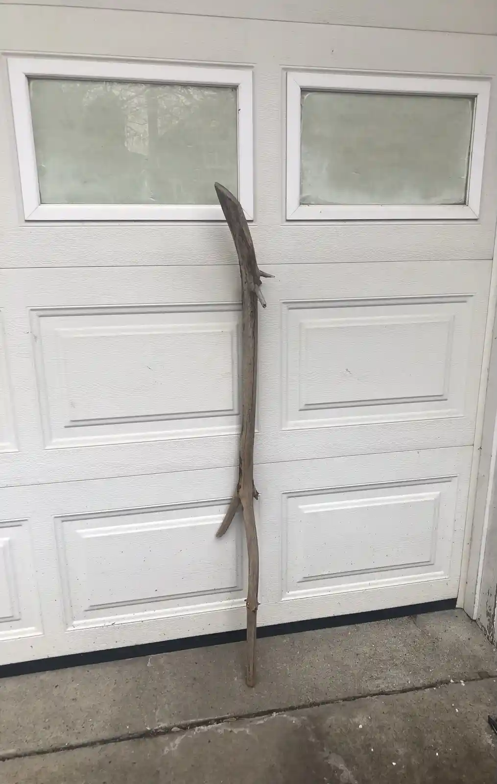 Just a Stick: The Simplicity of Life
