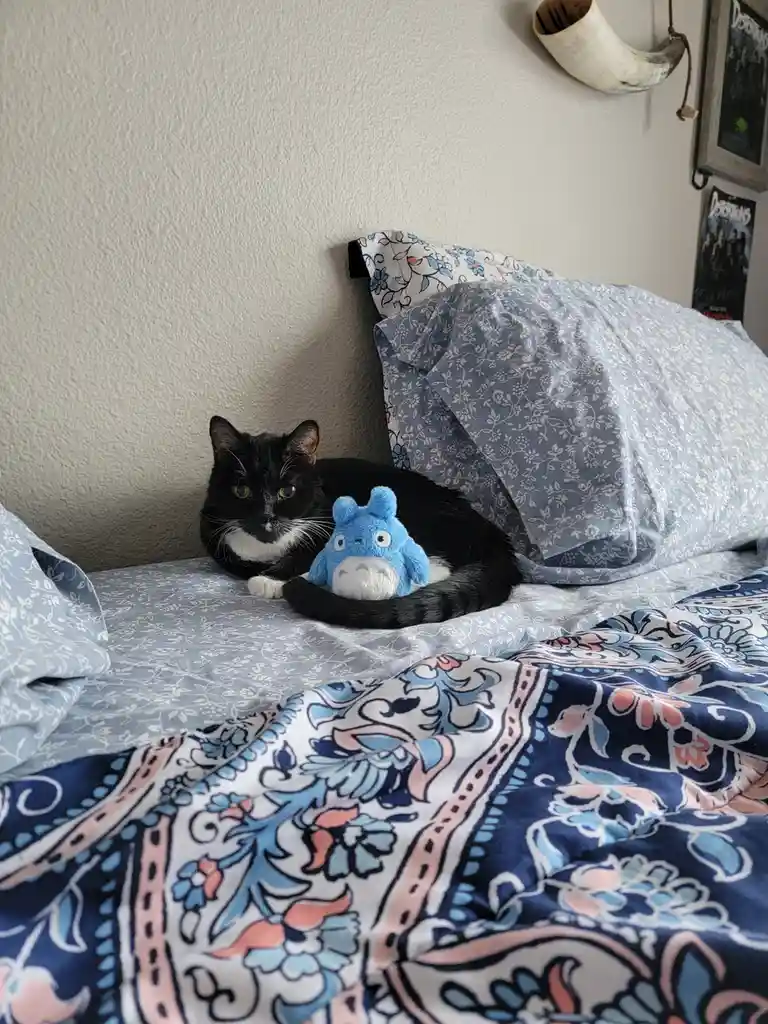 A black and white cat lies on a bed with blue floral bedding, its tail curled around a small blue Totoro plush toy. The cat…