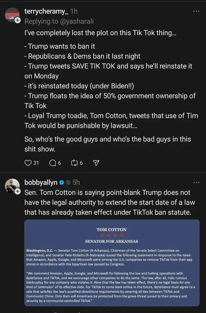 A screenshot of a Twitter thread where user 'terrycheramy_' lists a chaotic timeline of political events involving TikTok…