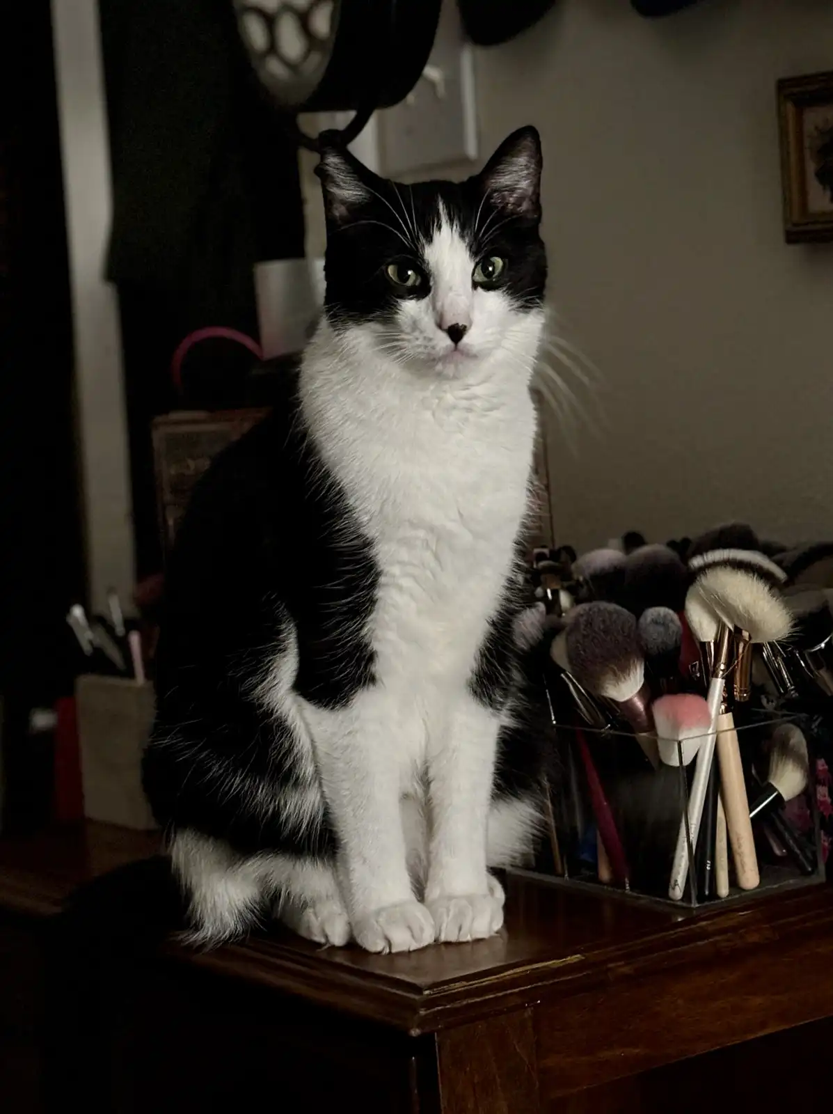 Karl: The Ultimate Photogenic Star