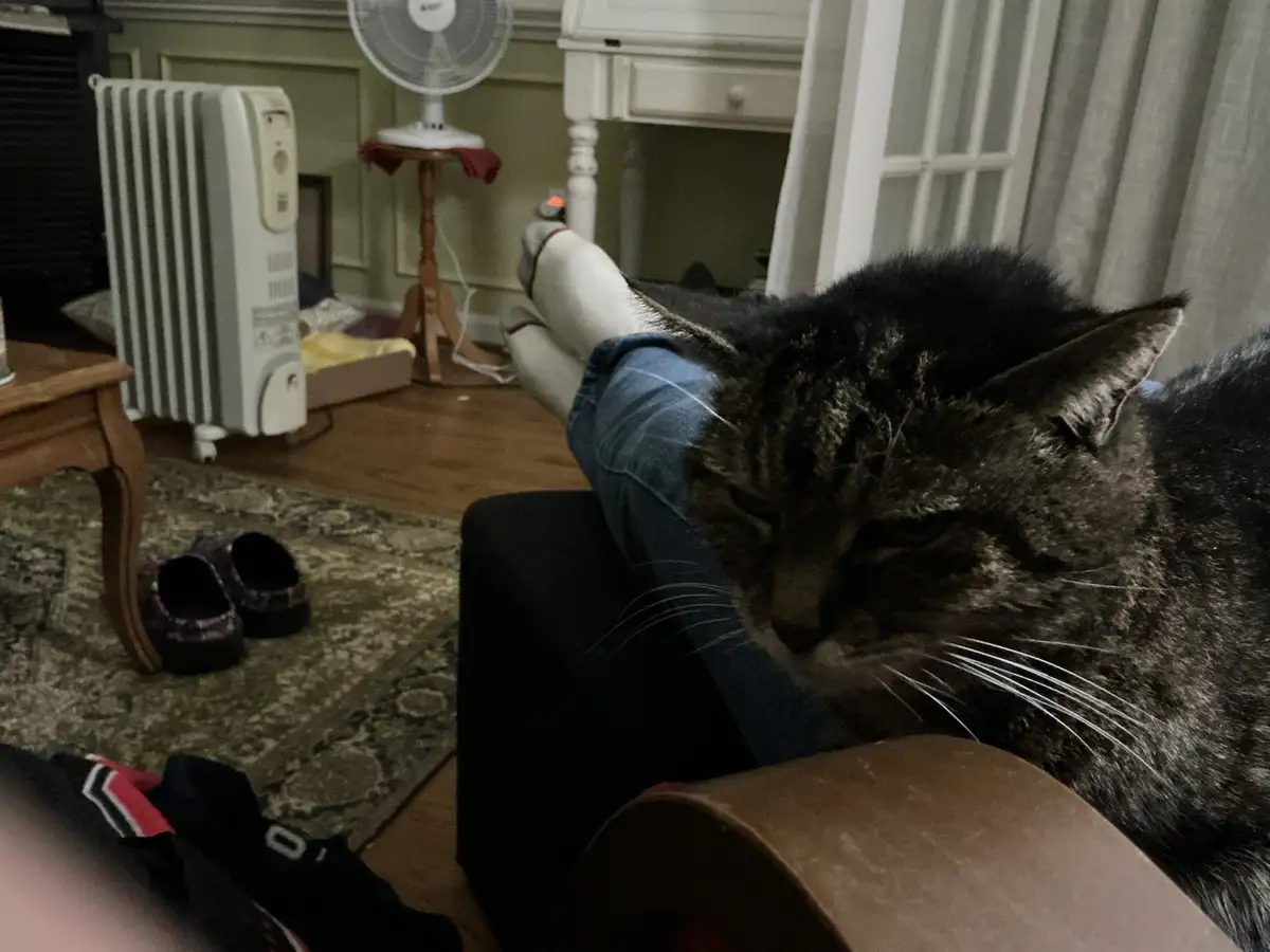 A dark tabby cat is sleeping peacefully on a person's lap while they sit on a couch, with a white space heater and a fan…