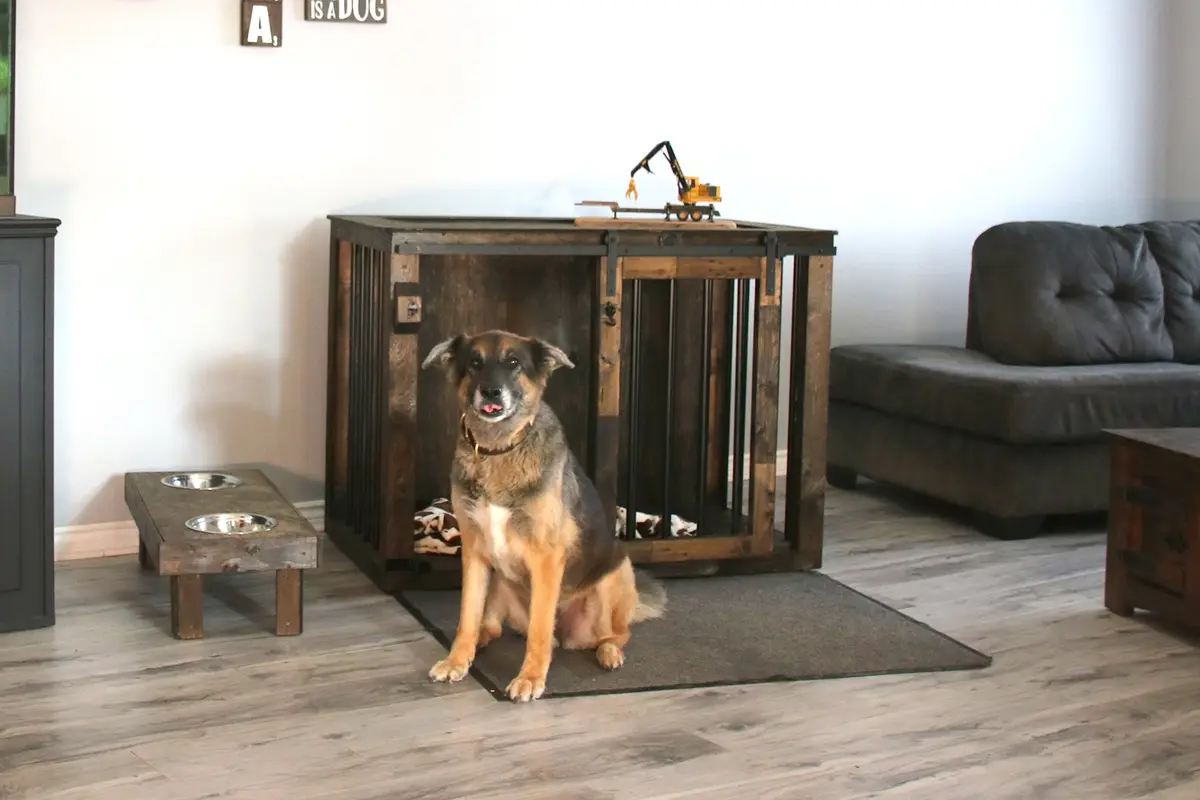 A German Shepherd dog sits proudly on a rug in front of a large, rustic wooden dog crate that has been repurposed as a piece…