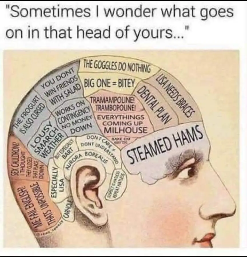An illustration of a man's head sliced open to reveal various thought bubbles labeled with absurd or nonsensical phrases…