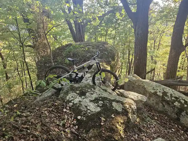 A white and black mountain bike is parked upright on a large, mossy rock in a sunlit forest with trees and fallen leaves…