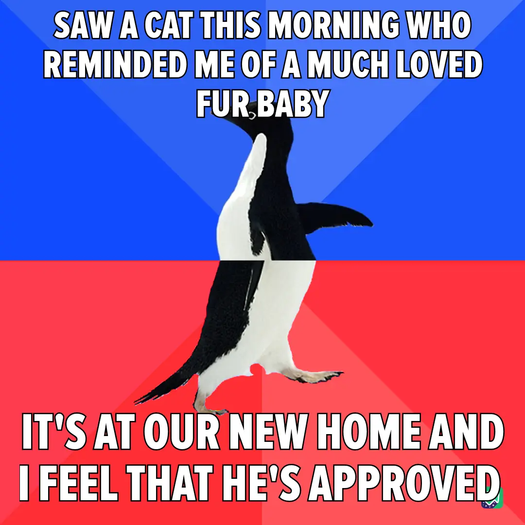A penguin walks across a split blue and red background, with white text overlaid in two sections. The top text reads 'SAW A…