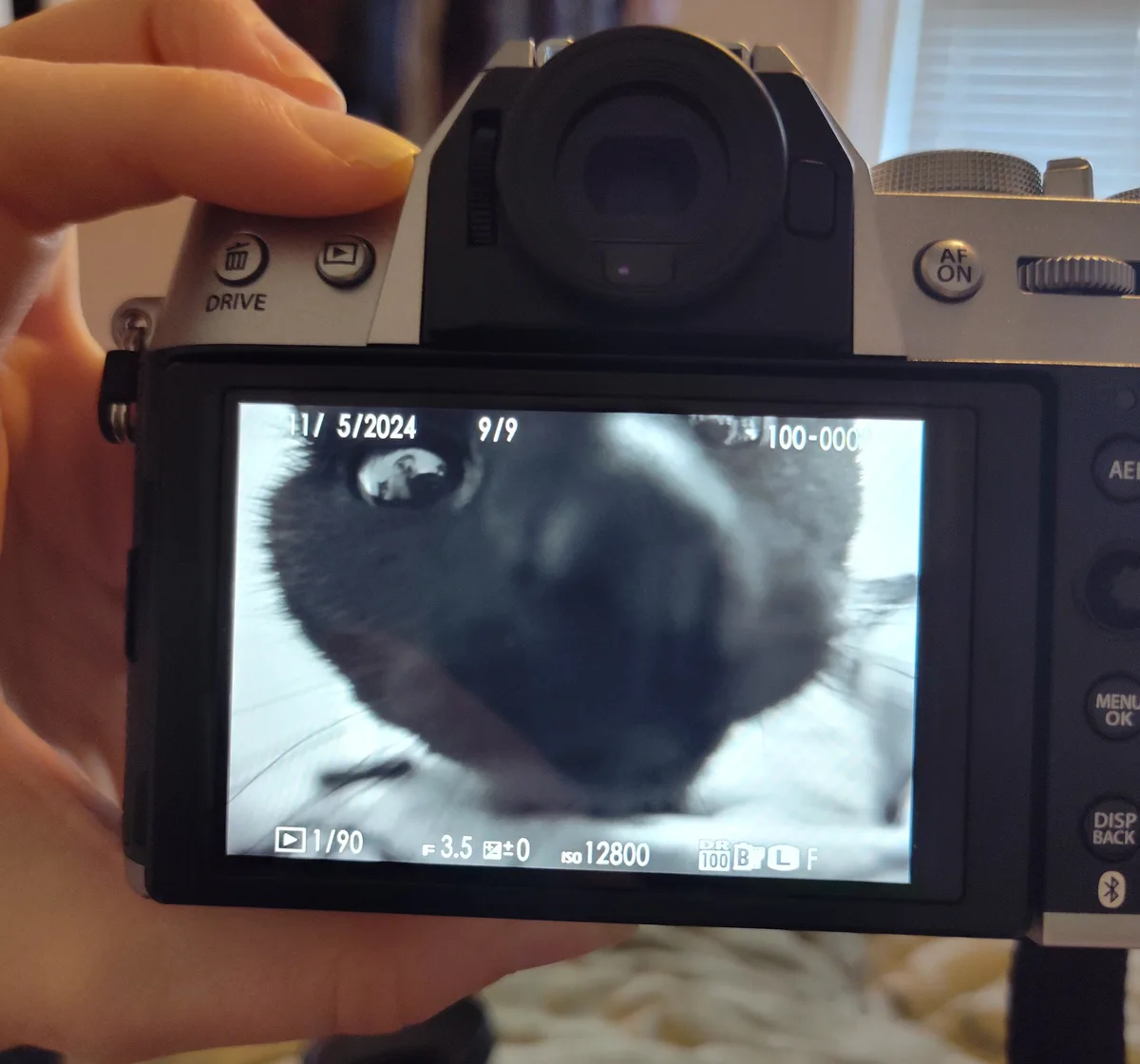 A close-up photo shows a person holding a silver mirrorless camera, with its rear LCD screen displaying a blurry, extreme…