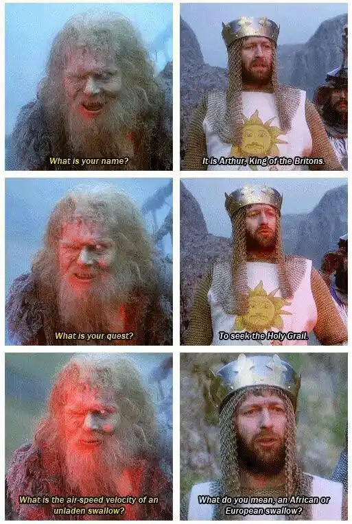 A six-panel meme from the movie 'Monty Python and the Holy Grail' showing a knight in a crown and chainmail answering…