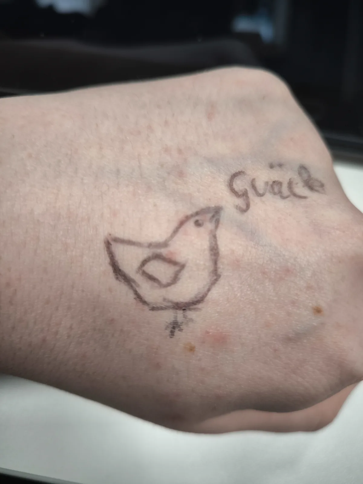 A close-up photo shows a simple, hand-drawn style tattoo of a small bird, possibly a chick, on a person's inner forearm. The…
