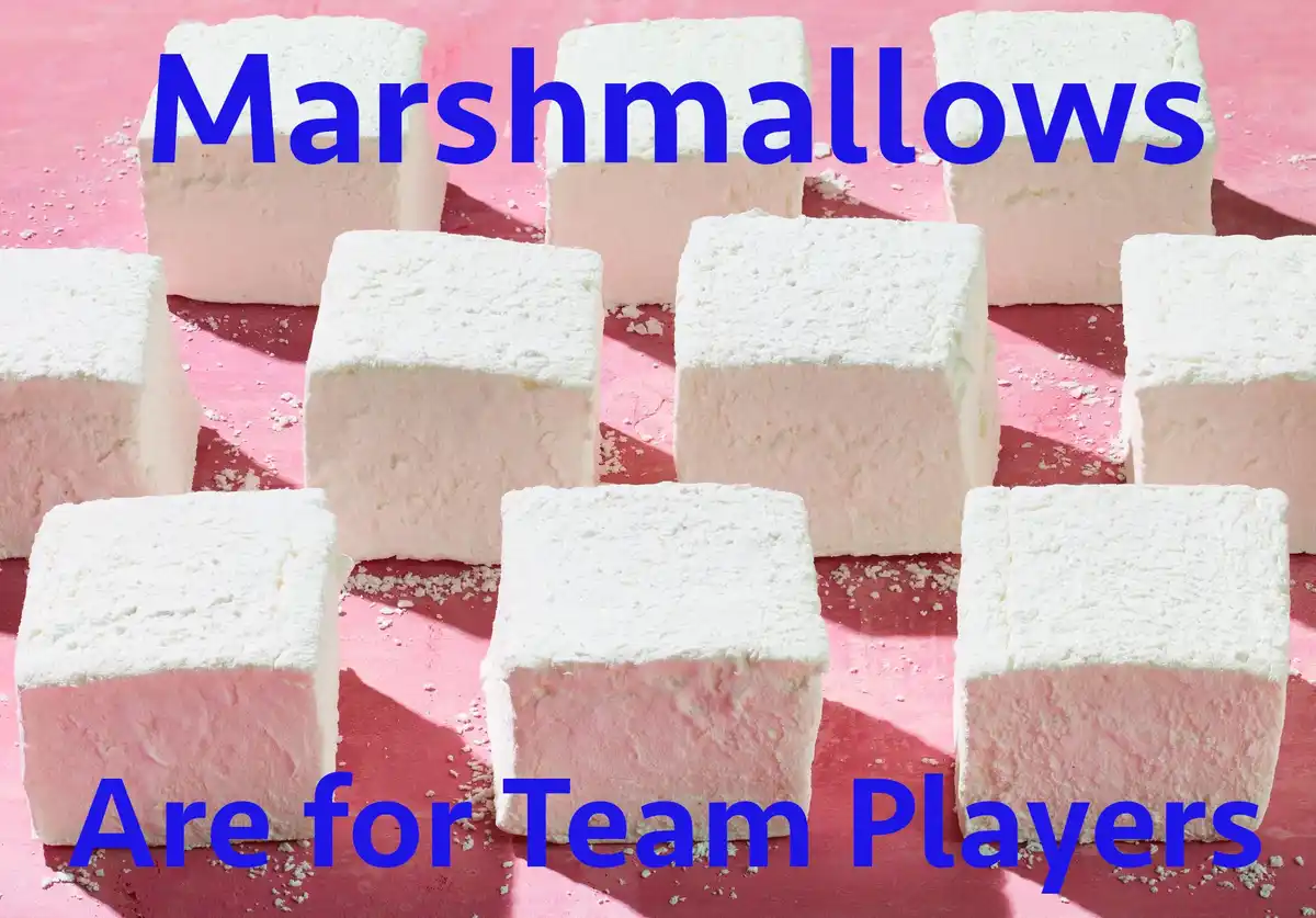 The image shows multiple square-shaped white marshmallows arranged on a pink surface, with blue text overlaid that reads…