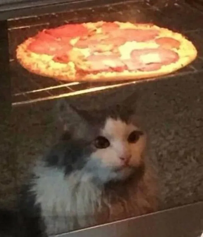 A fluffy, long-haired cat with wide, unimpressed eyes peers out from behind a glass oven door. Inside the oven, a pepperoni…