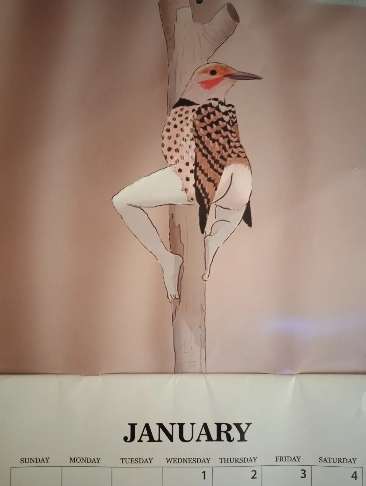 A January calendar page shows a painted bird perched on a tree trunk, but its lower body has been digitally edited to…
