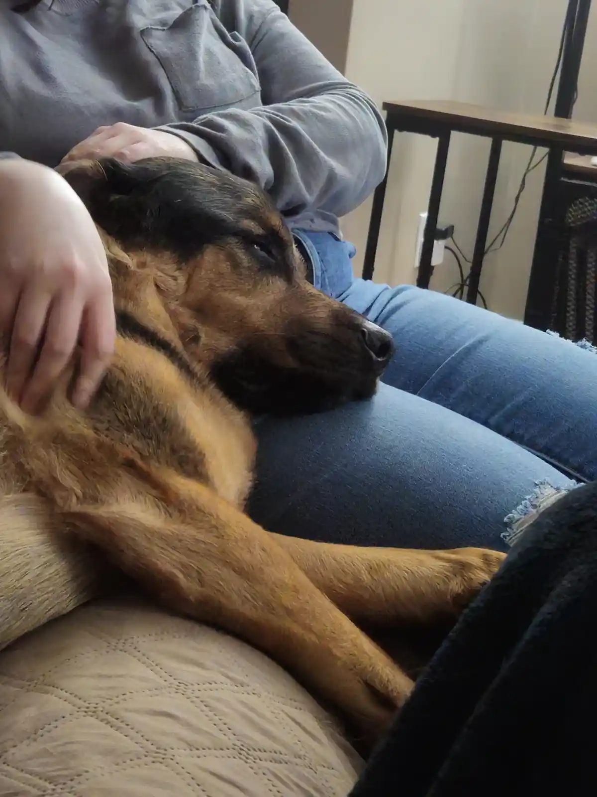 This Pup Adores His Lap Time