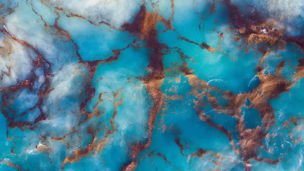 Over the Caribbean, the North Atlantic Gyre dominates, creating a vast Sargasso Sea where warm temperatures and…