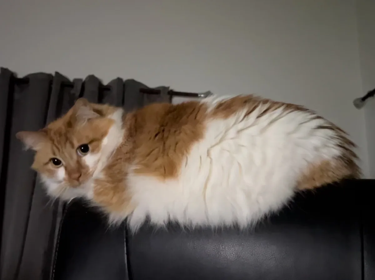 This Guy Resembles a Slug in the Most Hilarious Way