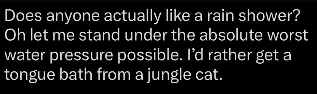 A Treasure Trove of Unpublished Shower Thoughts