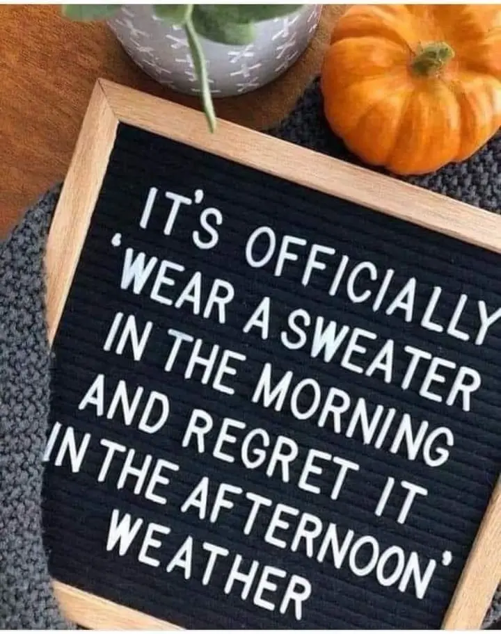 A black felt letter board with white letters displays the text 'IT'S OFFICIALLY 'WEAR A SWEATER IN THE MORNING AND REGRET IT…