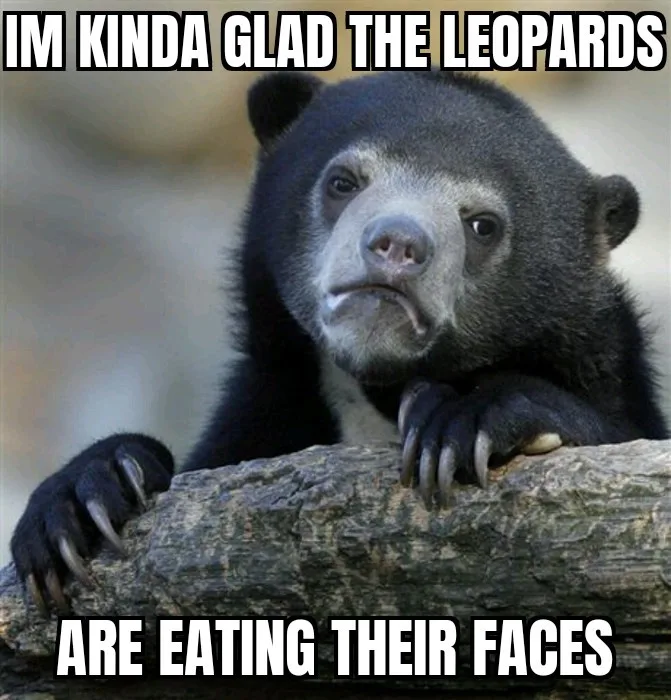 A black bear with a sad, resigned expression rests its paws on a log. White bold text overlaid at the top reads 'IM KINDA…