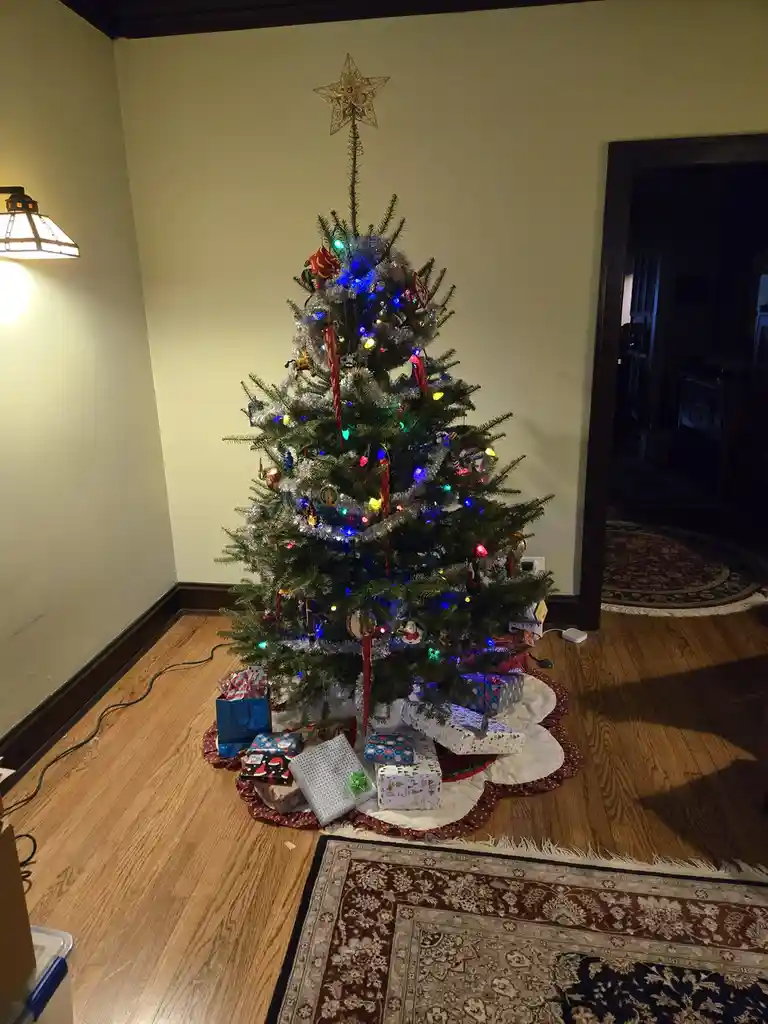 A decorated Christmas tree with colorful lights, ornaments, and a star topper stands in a room with hardwood floors and a…