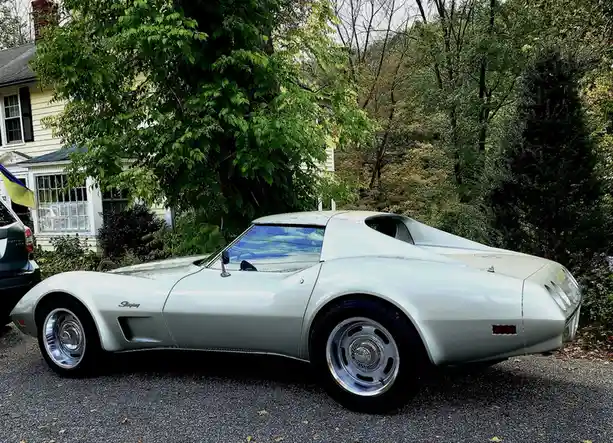 Spot the 17 Rallye lookalikes on a classic 77 Corvette