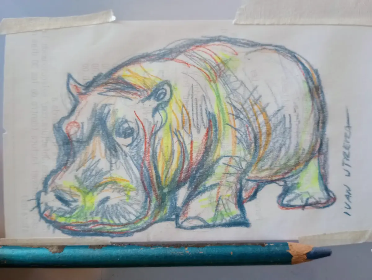 Just a Hippo: The Charm of the Gentle Giant