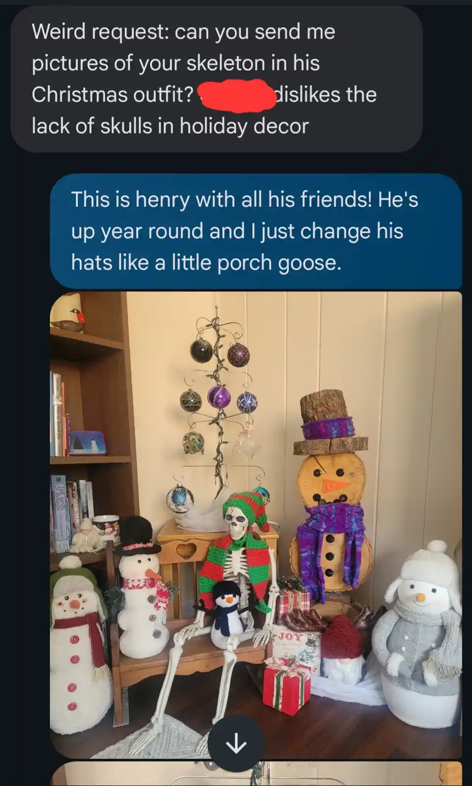 A screenshot of a text conversation where one person asks for a photo of a skeleton in a Christmas outfit because they…