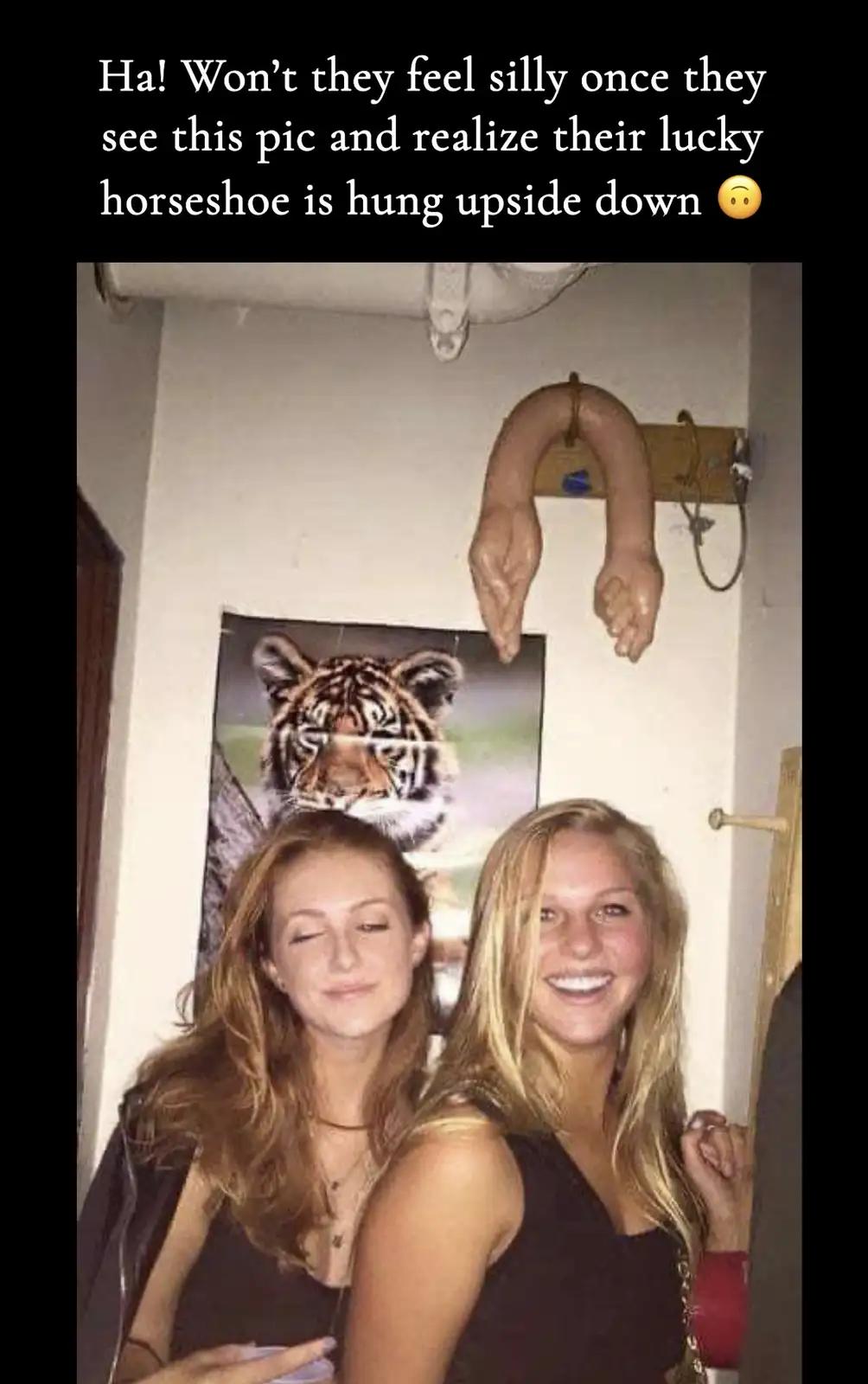 Two smiling women pose for a photo in a room with a large tiger poster behind them. Above them, a horseshoe is hung upside…