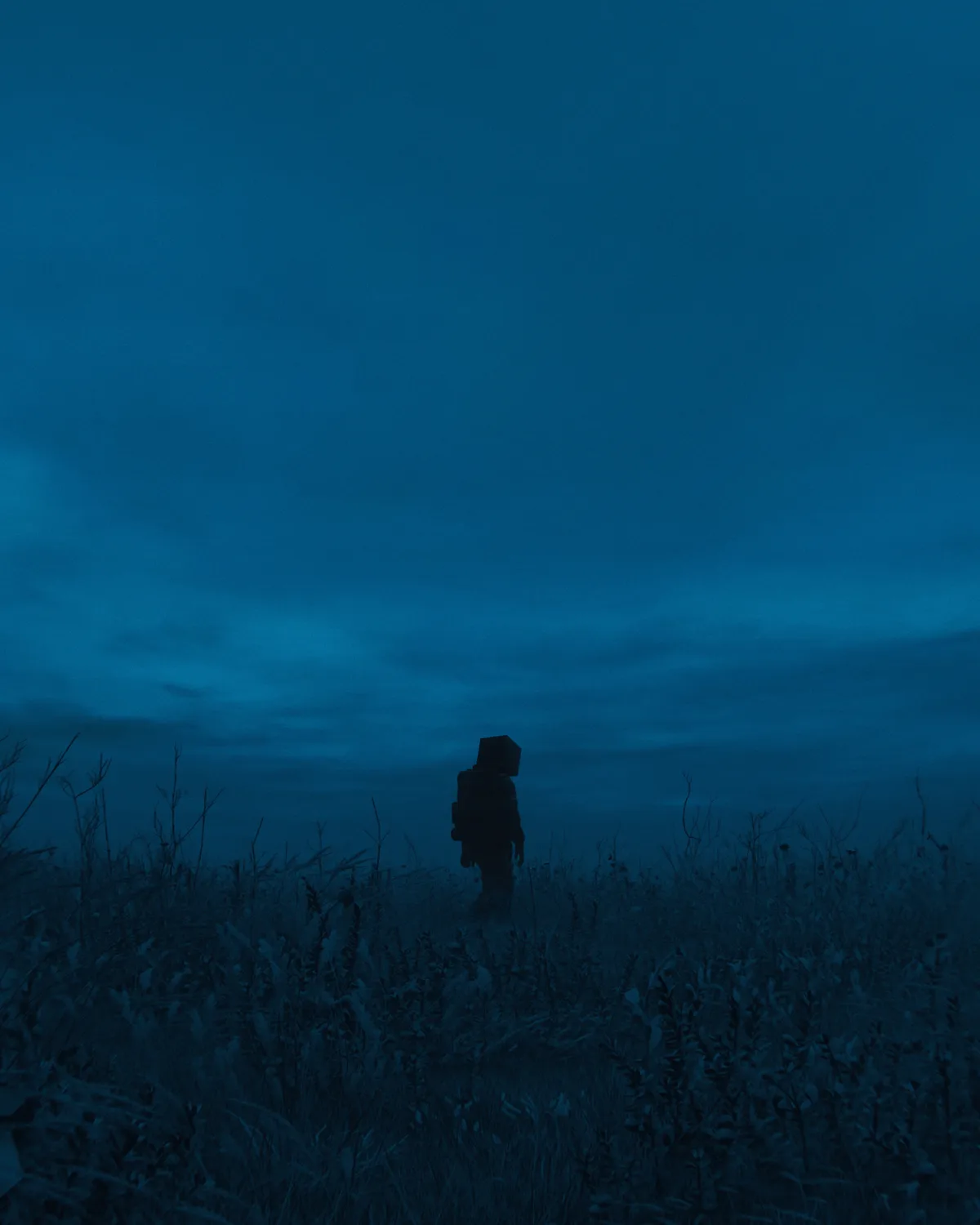 A solitary human silhouette stands in a field of tall grass under a vast, dark blue twilight sky, carrying a large, square…