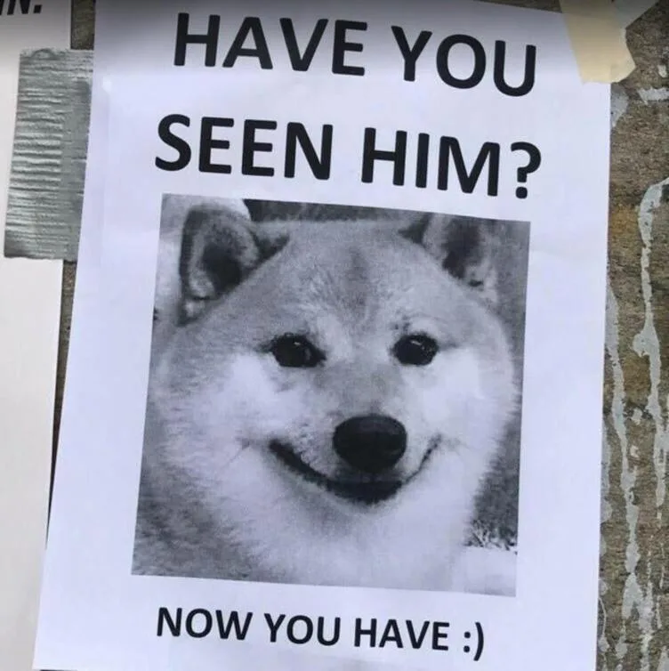 A black-and-white printed poster taped to a wall, featuring a photo of a smiling Shiba Inu dog. The poster reads 'HAVE YOU…