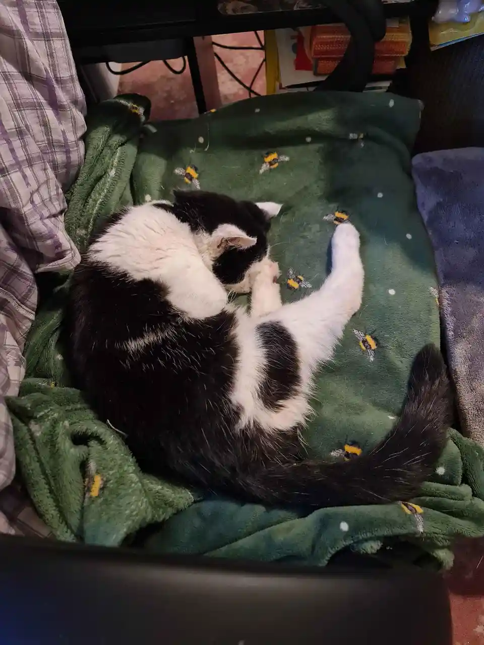 A black and white cat is curled up and sleeping soundly on a green blanket with embroidered bumblebees, one paw raised near…