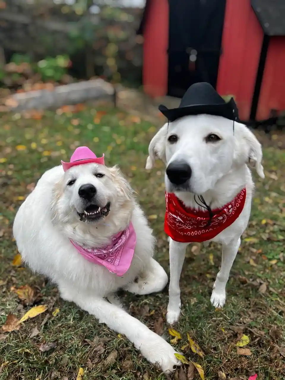 Wishing You a Spooktacular Halloween Celebration!