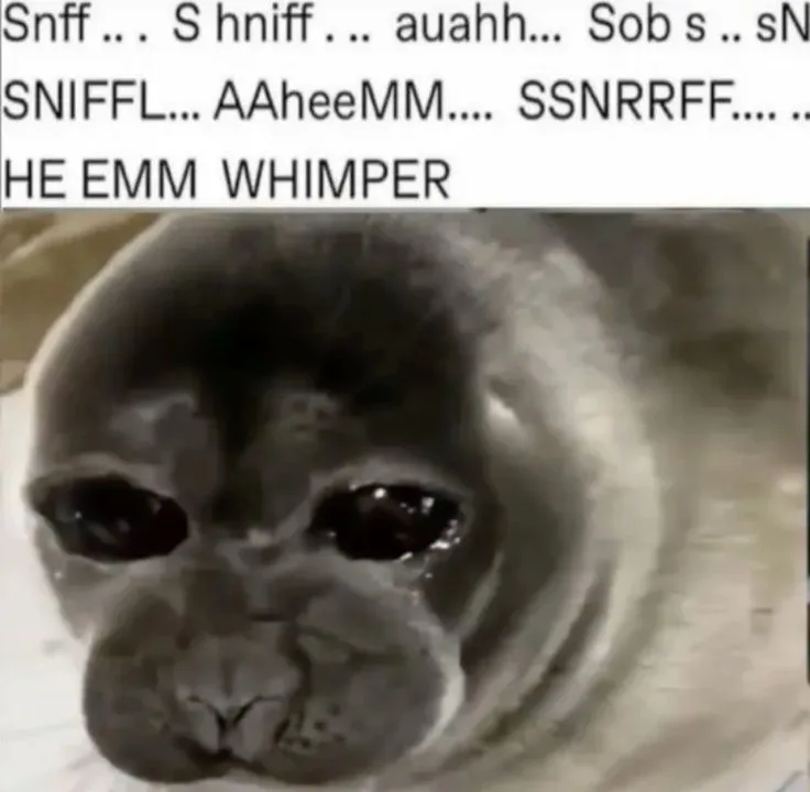 A close-up, black-and-white image of a seal with large, glossy, tear-filled eyes and a sad, pleading expression. Overlaid…