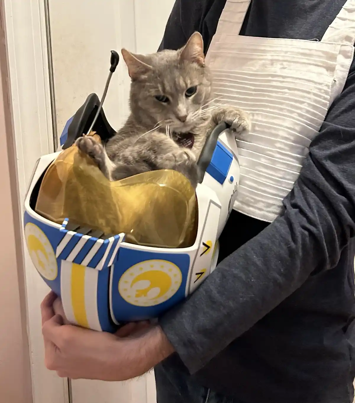 A gray tabby cat is sitting inside a blue, white, and yellow toy spaceship helmet with a gold visor, held by a person…