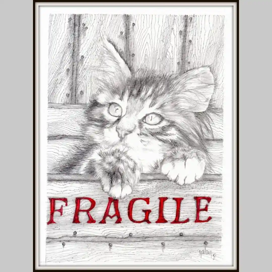 A detailed pencil sketch of a fluffy kitten peeking over a wooden surface, with the word 'FRAGILE' in bold red letters…
