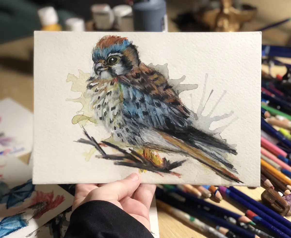 A hand holds up a watercolor painting of a small bird with blue, brown, and white feathers perched on a branch, surrounded…