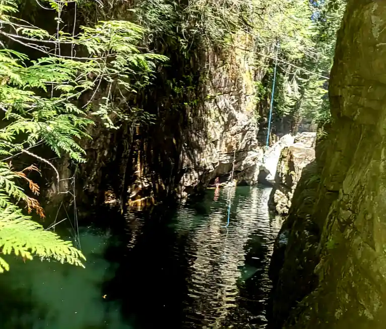 A scenic photo of a narrow canyon with a calm, greenish river flowing between steep, mossy rock walls covered in dense green…