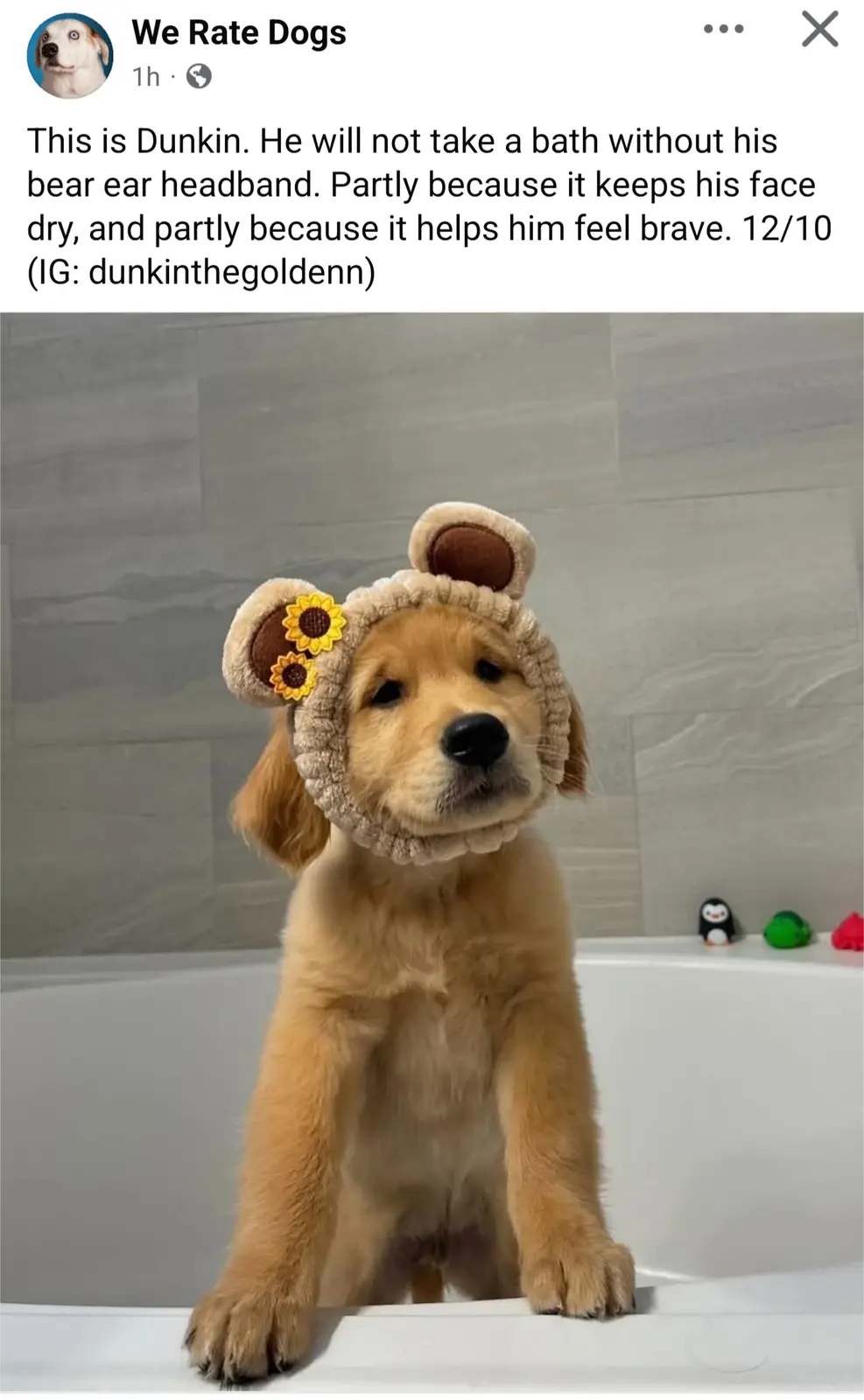 A golden retriever puppy named Dunkin sits in a white bathtub wearing a fuzzy bear-ear headband decorated with sunflowers…