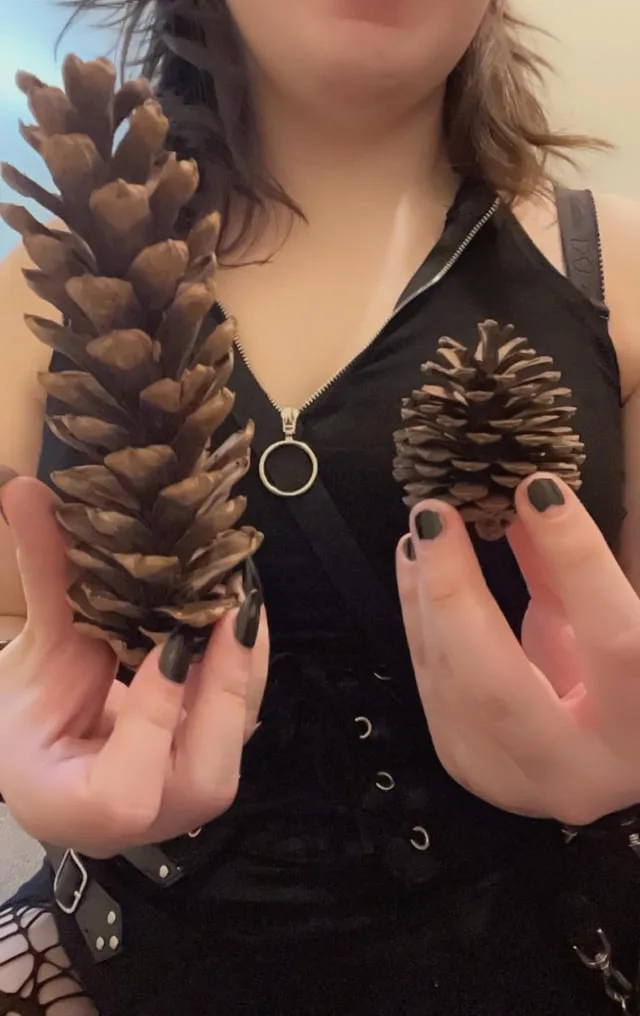 A person with dark nail polish holds two pinecones, one large in their left hand and one small in their right hand, while…
