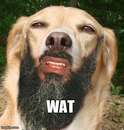 A close-up photo of a golden retriever with a digitally added black beard and mustache, looking upward with a confused…