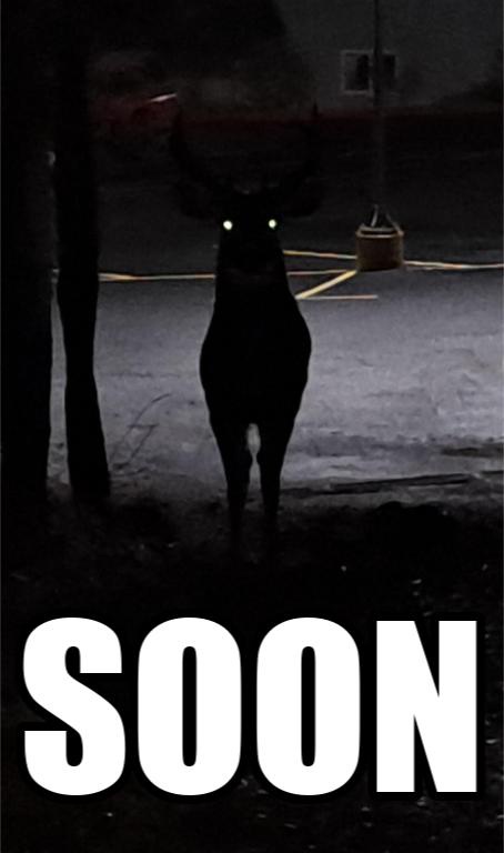 A dark, grainy nighttime photo shows a deer standing in a parking lot, its eyes glowing from the camera flash. The word…