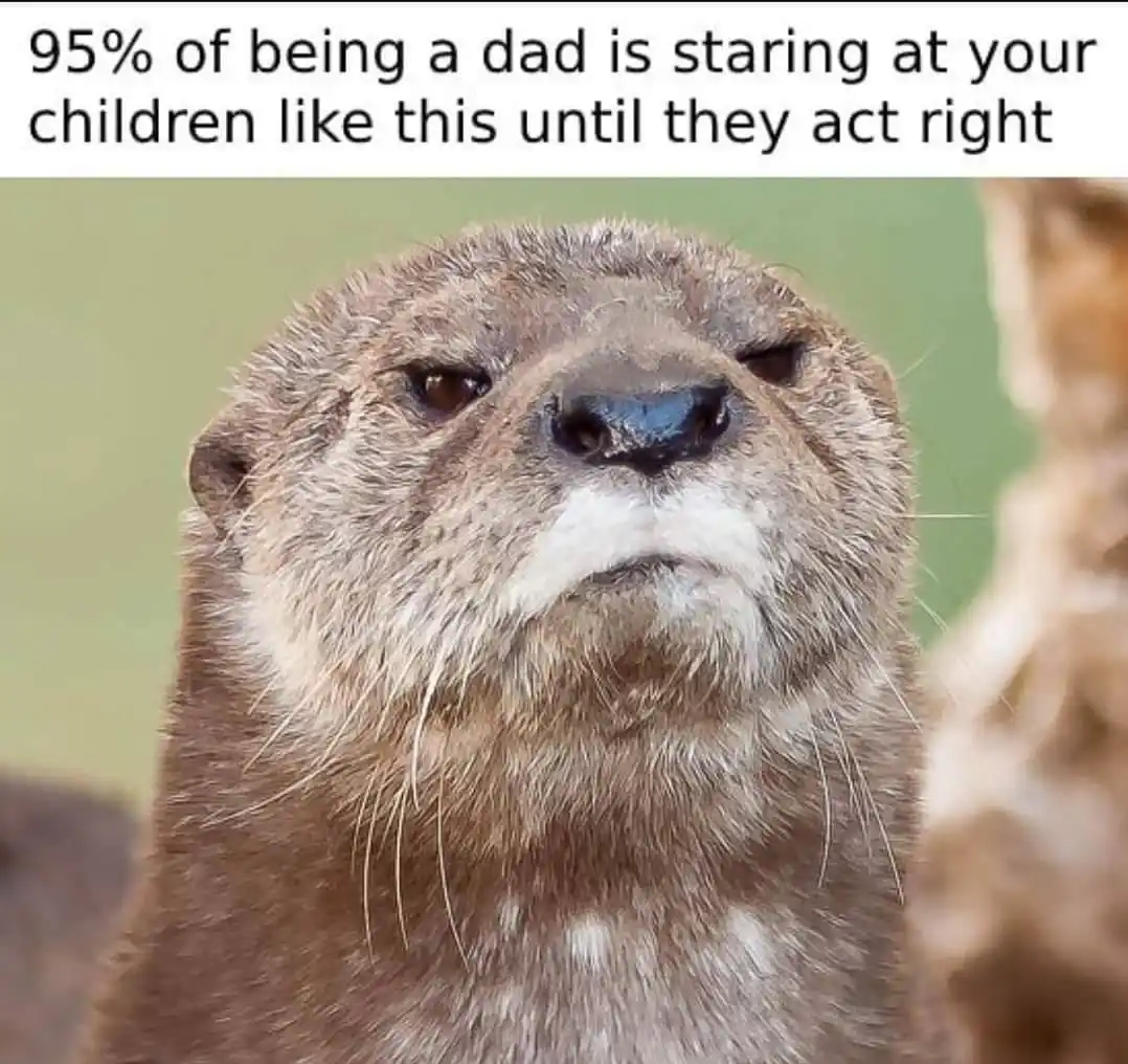 A close-up photo of an otter with a stern, unblinking stare, its head tilted slightly upward. The overlaid text reads: '95%…