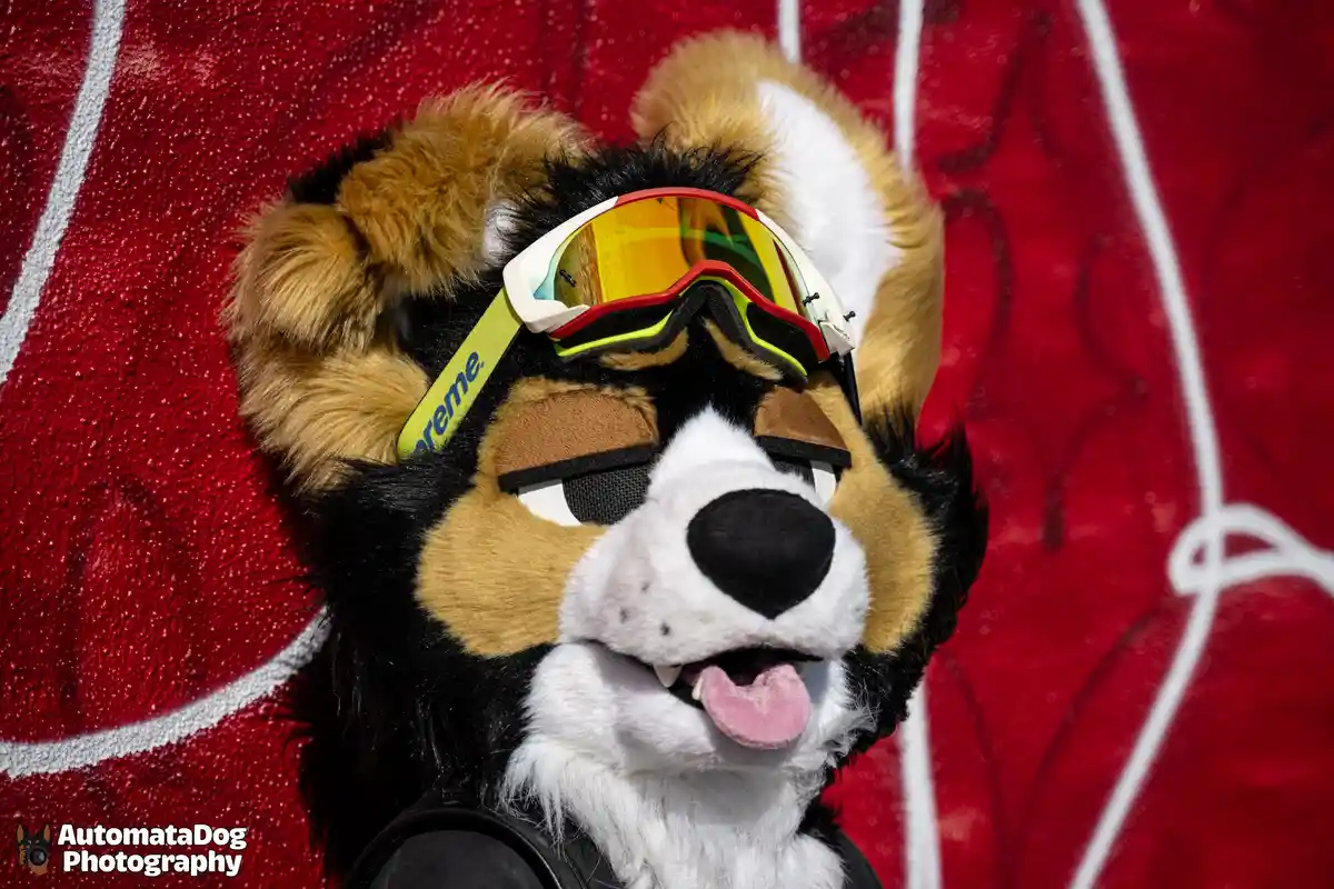A close-up of a tri-color furry dog costume head with a pink tongue out, wearing oversized ski goggles with a yellow lens…