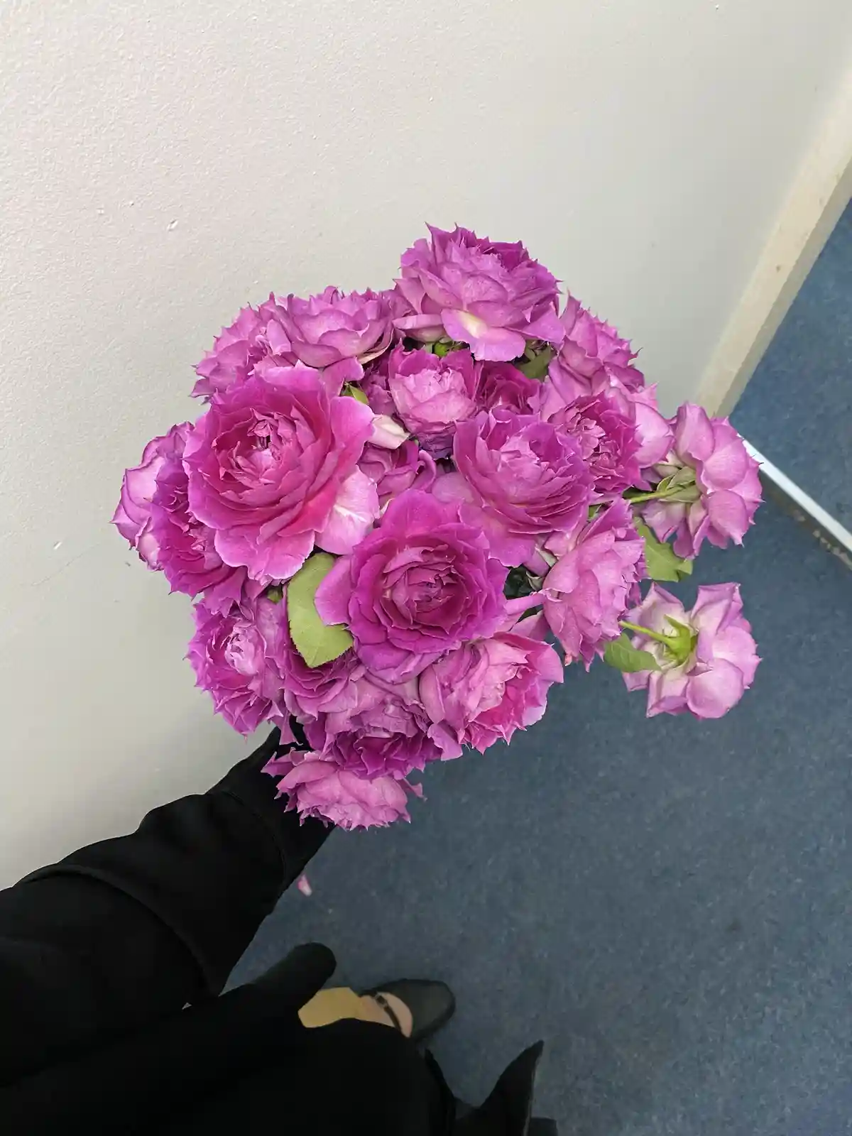 A person wearing black pants and shoes holds a large bouquet of vibrant purple roses against a plain wall and blue carpeted…