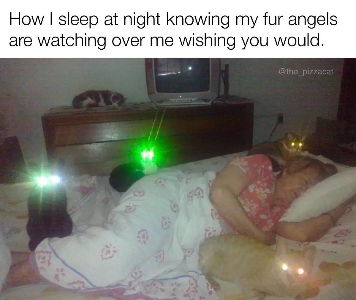 A person sleeps in bed surrounded by multiple cats, some of which have glowing eyes from a green laser pointer and a…