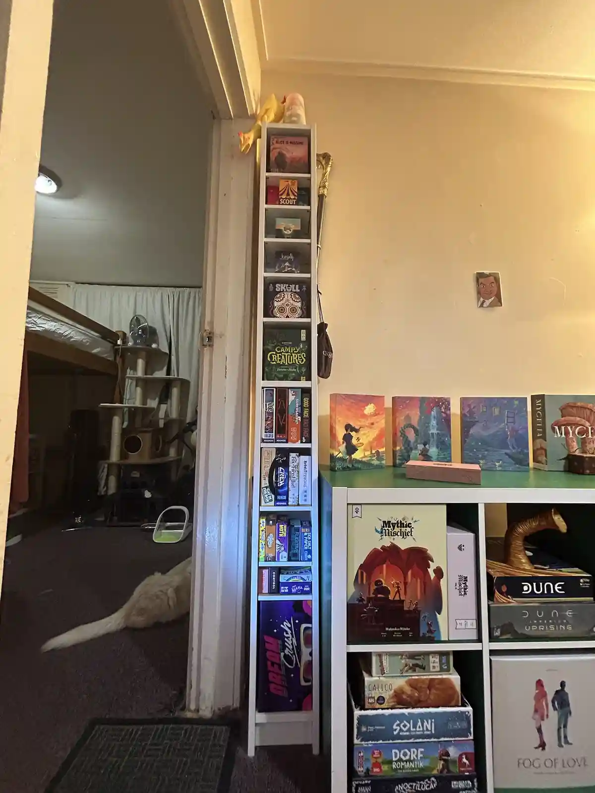 Creative Shelving Solutions for Your Small Game Collection
