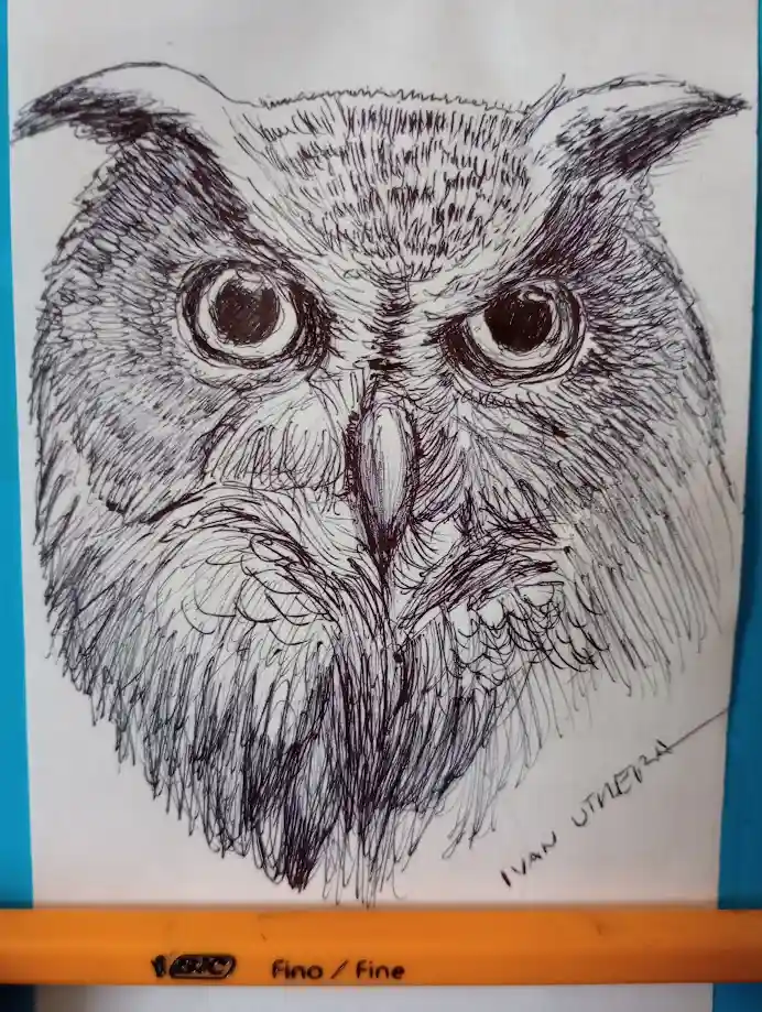 The Enigmatic Owl