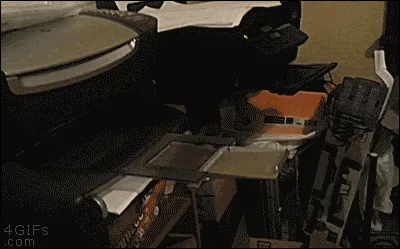A tabby cat sits upright on a cluttered desk, intently staring at a printed document with red text, as if reading it like a…