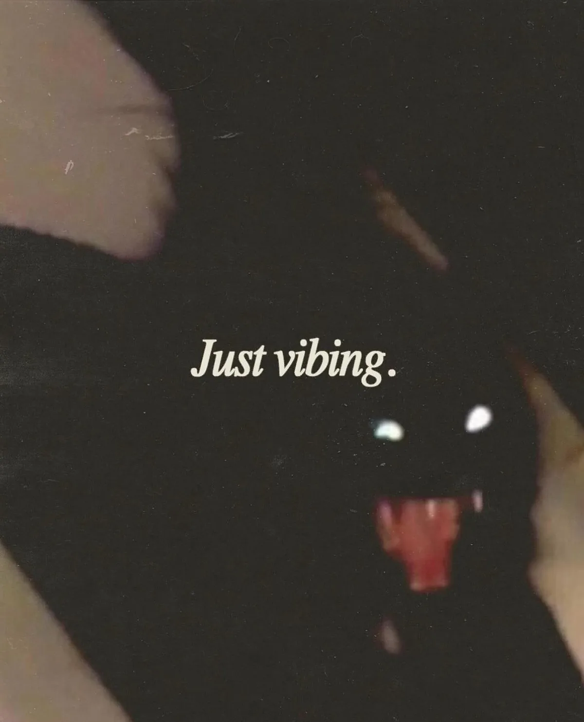 Random Collection of Memes to Brighten the Gallery